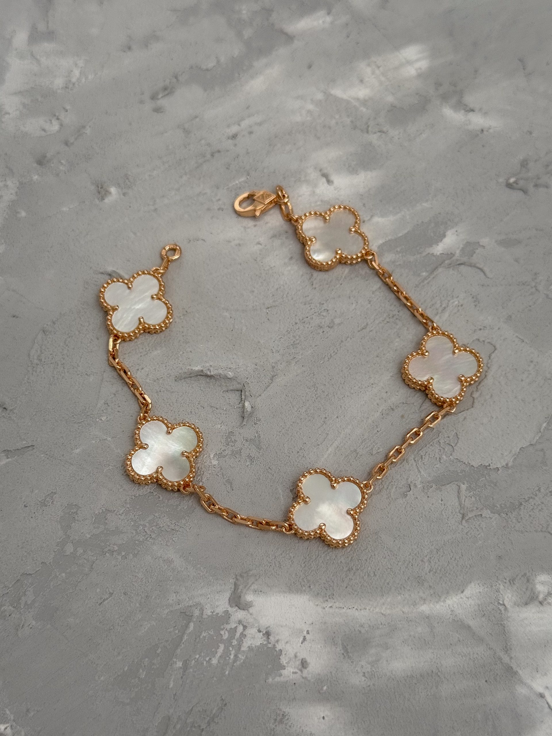 IMG_6397 IMG 6397 scaled