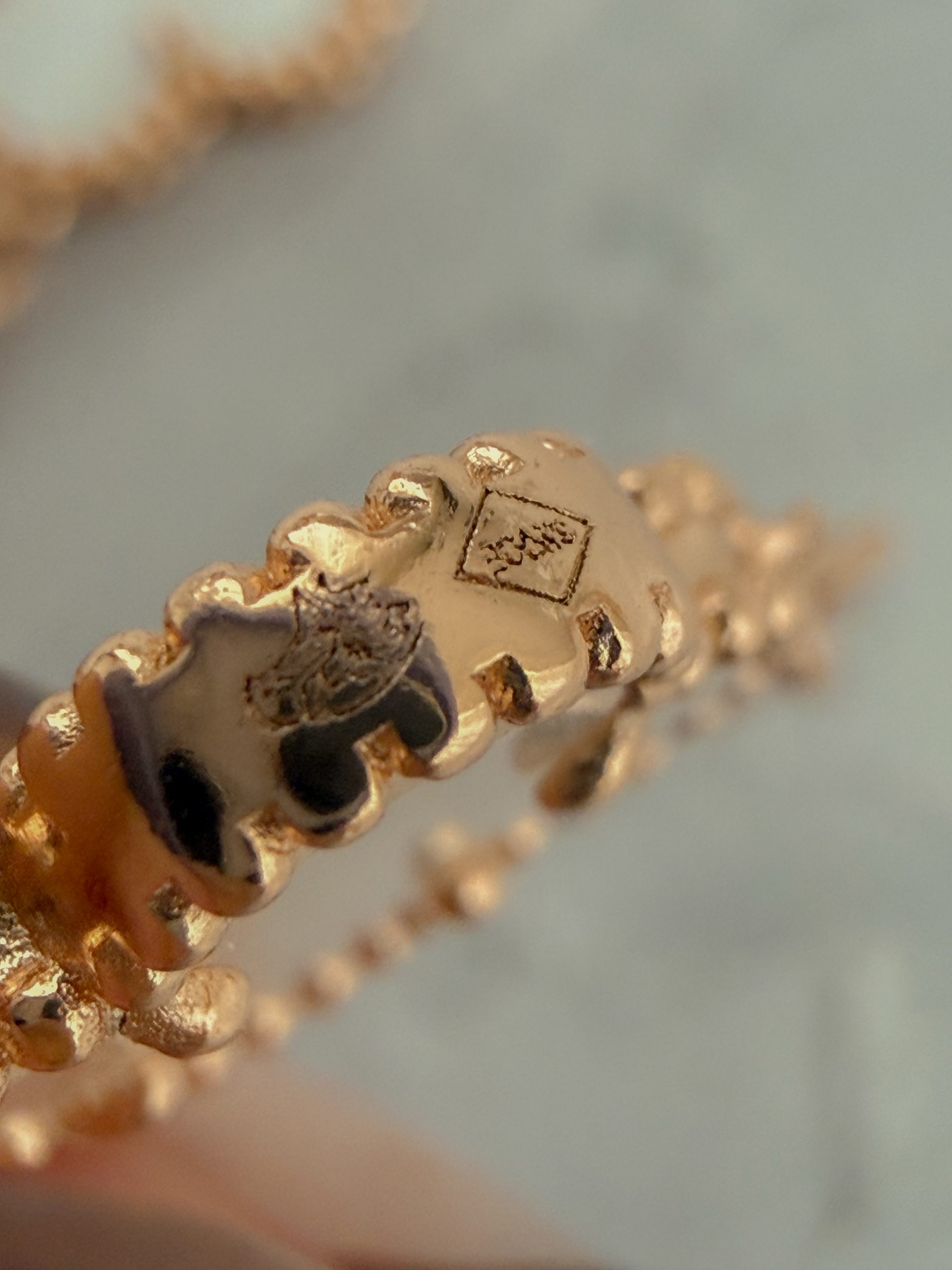 IMG_6402 IMG 6402 scaled