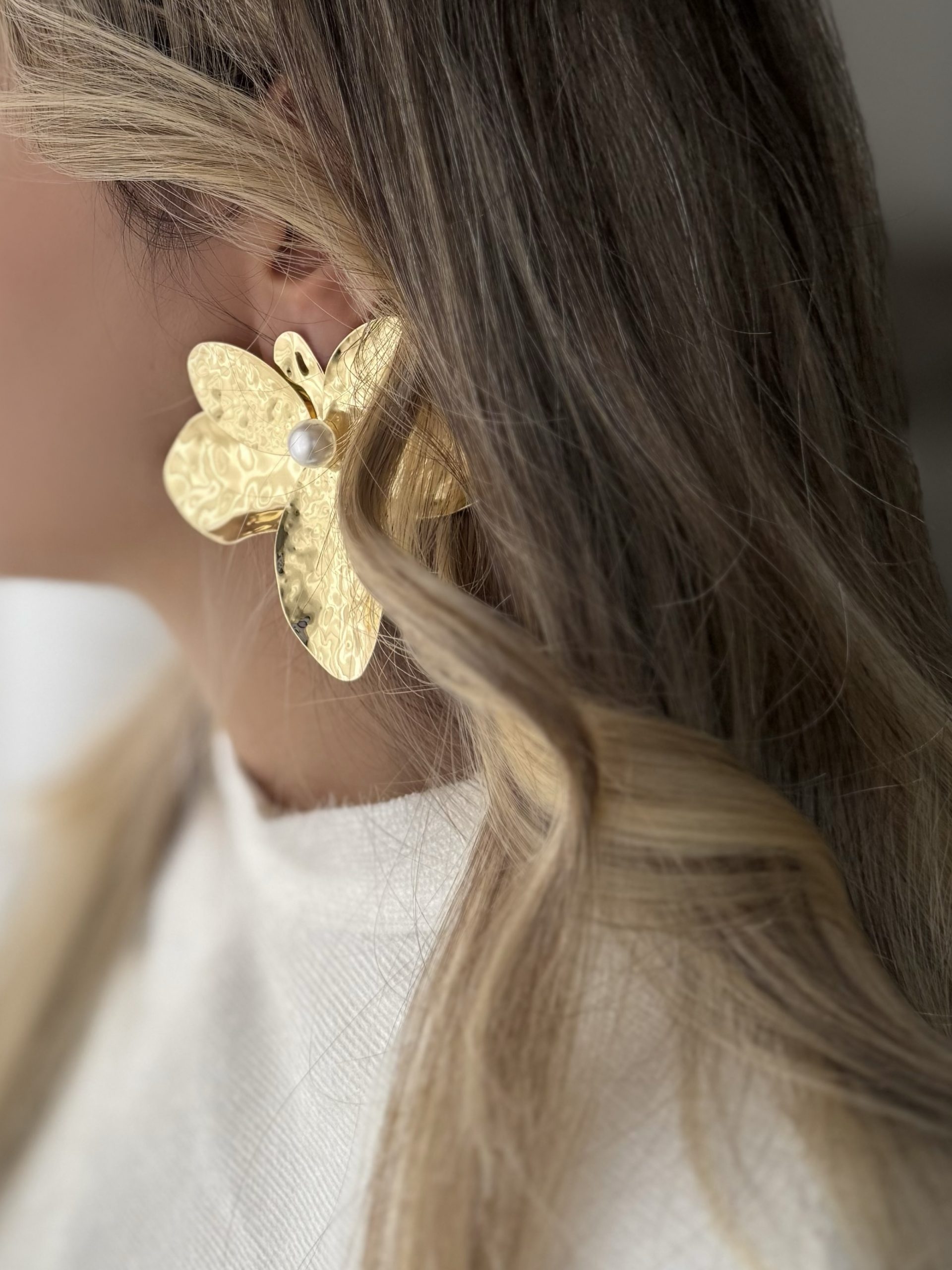 IMG_133031_0 IMG 133031 0 scaled