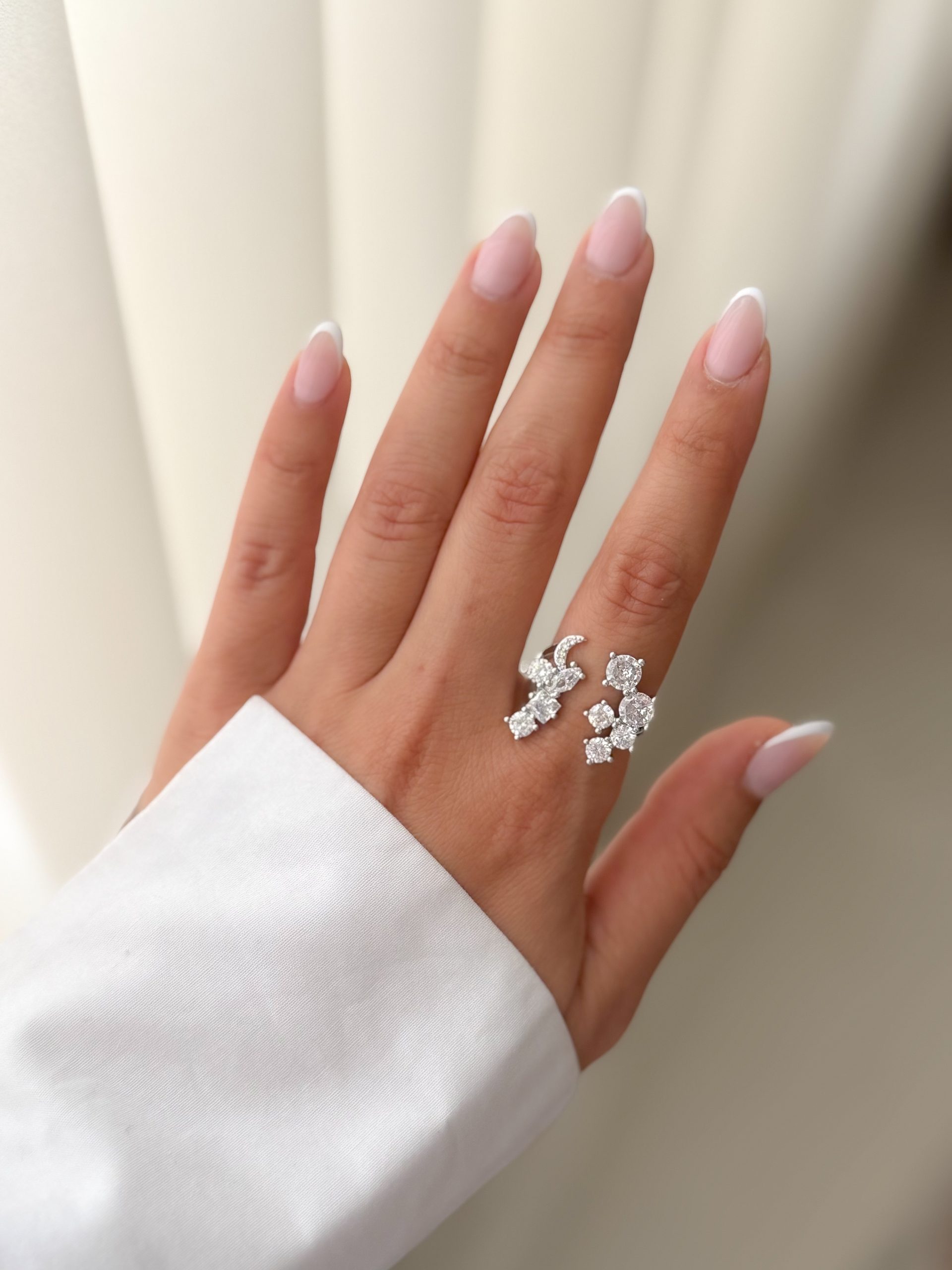 IMG_0138 IMG 0138 scaled