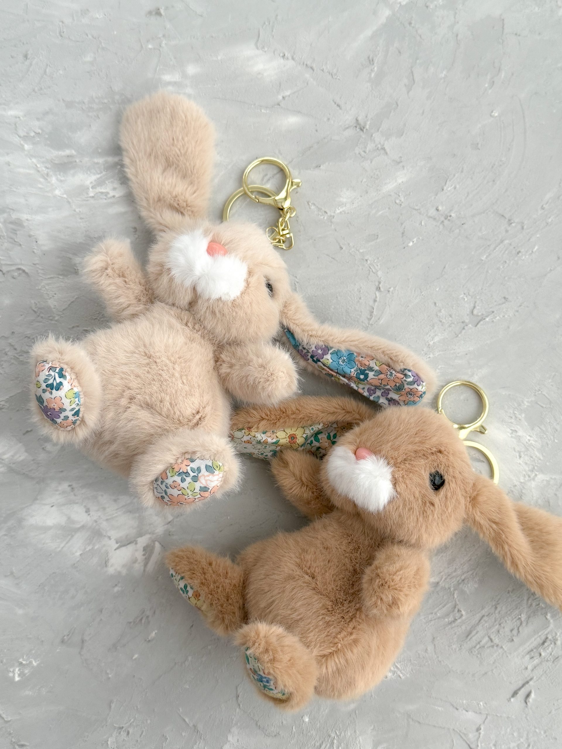 IMG_1262 IMG 1262 scaled